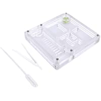 Los mejores  - Live Ant Farm Caja de cría de Insectos acrílicos Caja de exhibición de Hormigas Transparente Caja de alimentación de…